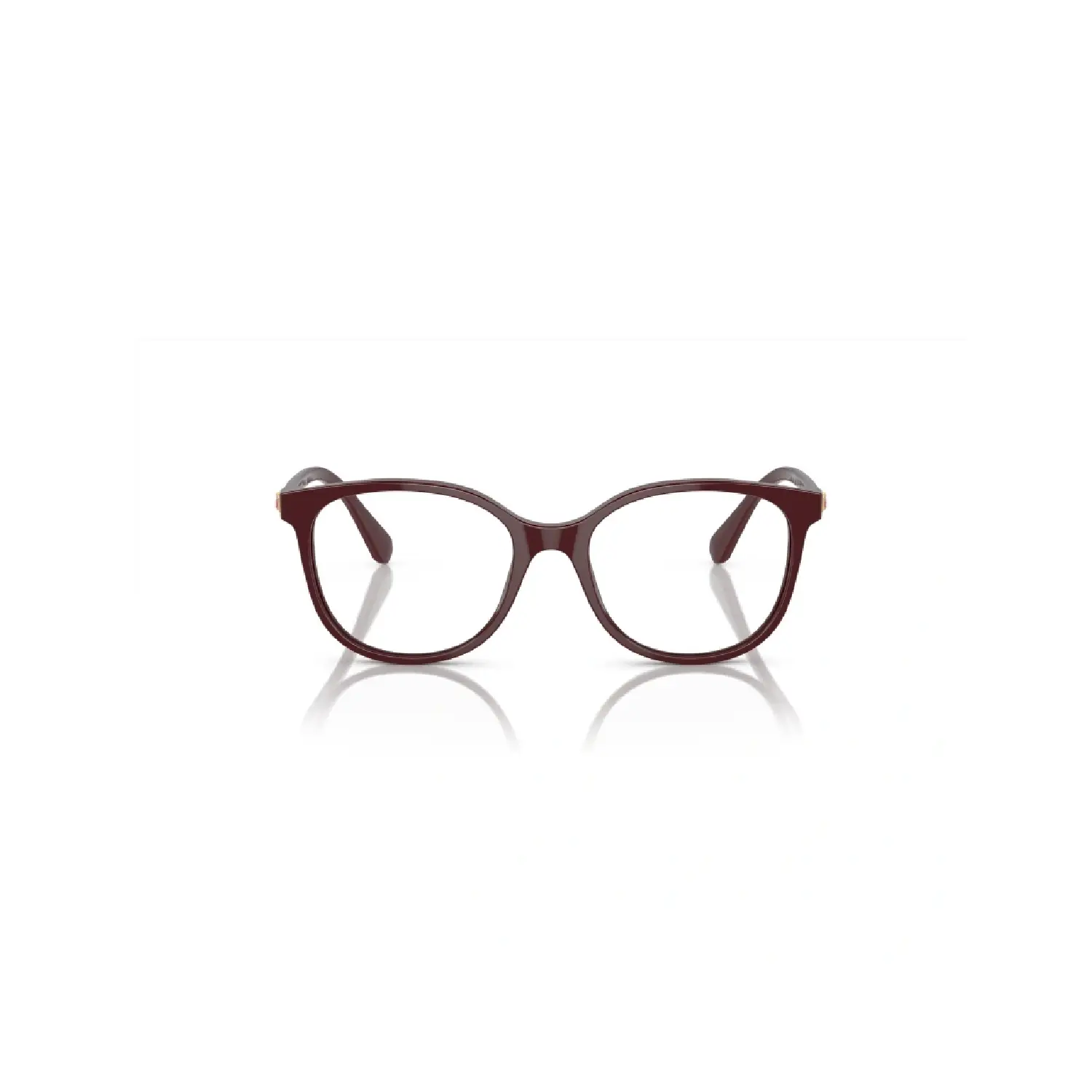 SWAROVSKI FRAMES SK2002 1008 53| Amaze vision optics