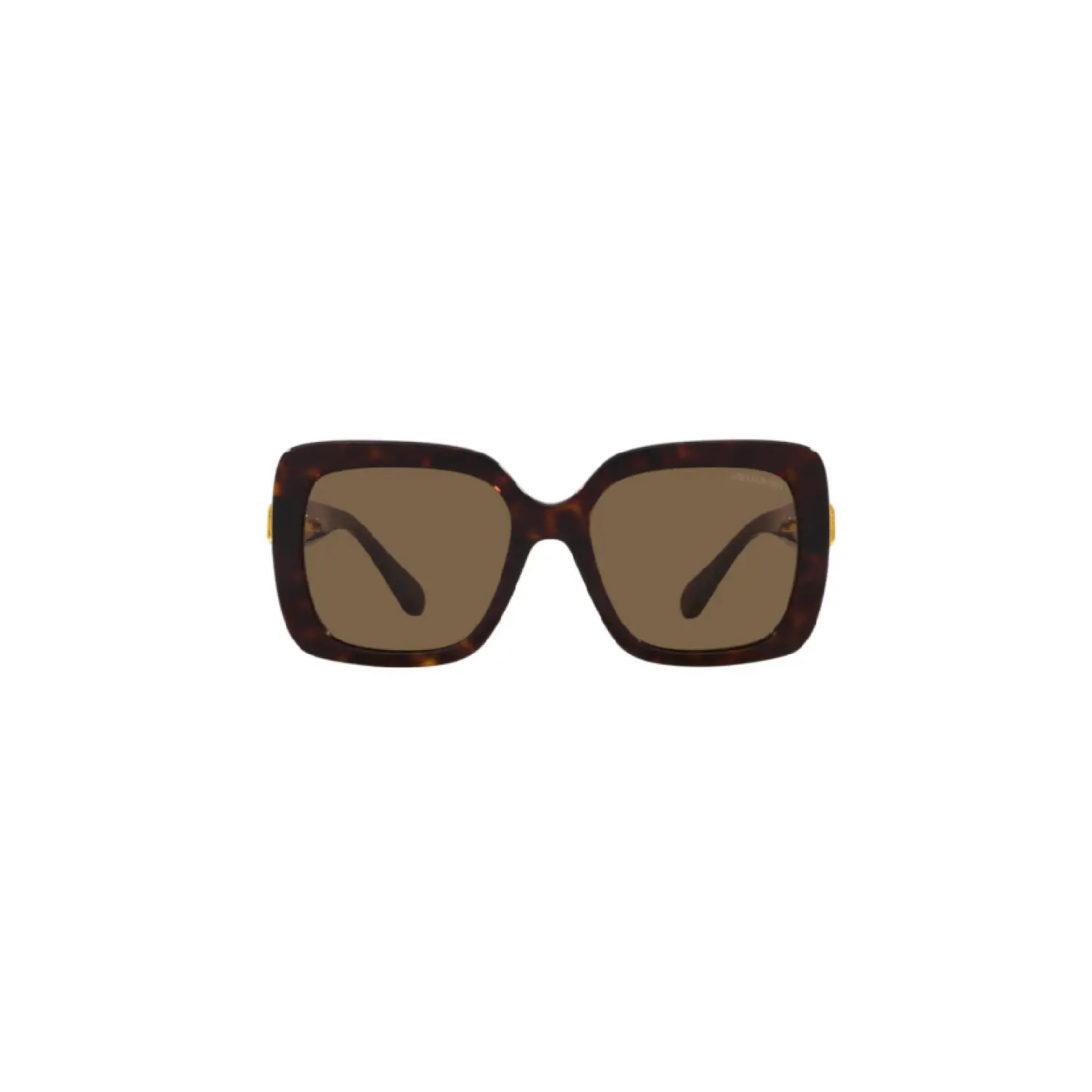 SWAROSKI SUNGLASS SK6001 100273 55| Amaze vision optics